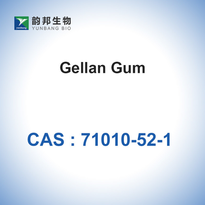Gellan Gum Powder Addensante CAS 71010-52-1 Solubile in acqua