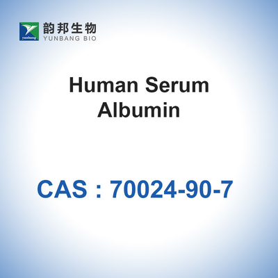 Albumina di CAS 70024-90-7 dal siero umano