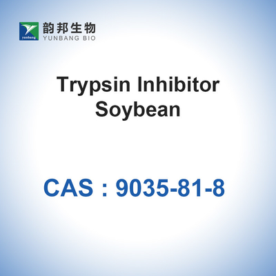 CAS 9035-81-8 enzimi biologici Lima Bean Trypsin Inhibitor dei catalizzatori