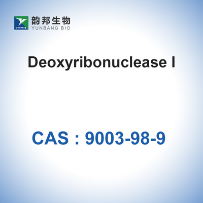 Catalizzatori Enzimi DNasi I (＞2000u/Mg) CAS 9003-98-9 Deossiribonucleasi I Biologico