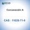 CAS 11028-71-0 Concanavalina A da Canavalia Ensiformis Jack Bean