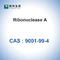 RNAsi una ribonucleasi A dal pancreas bovino CAS biologico 9001-99-4