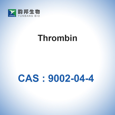 Trombina bianca dalla trombina umana di CAS 9002-04-4 del plasma (&gt;2000u/Mgpr)