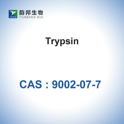 Tripsina biologica degli enzimi 7,6 pH dei catalizzatori di CAS 9002-07-7 dal pancreas porcino