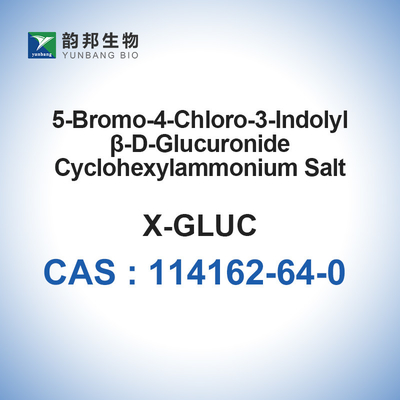 CAS NO 114162-64-0 X-GluA in polvere