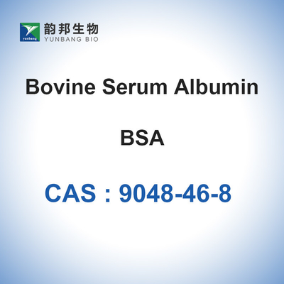 Polvere liofilizzata soluzione di CAS 9048-46-8 BSA dell'albumina di siero bovino