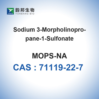 MOPS sale sodico tampone CAS 71119-22-7 Bioreagente 98%