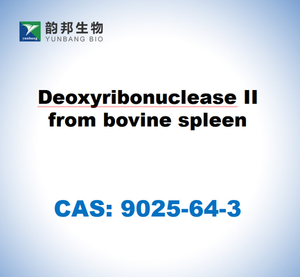CAS 9025-64-3 Deossiribonucleasi II dalla milza bovina
