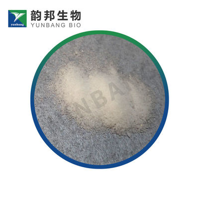 CAS 77-06-5 Gibberellic acid biological reagents manufacturer