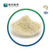 L'albumina di siero bovino spolverizza CAS 9048-46-8 che il reagente biochimico BSA ha liofilizzato la polvere