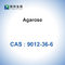 Glicoside biochimico BioReagent dell'agarosi di CAS 9012-36-6