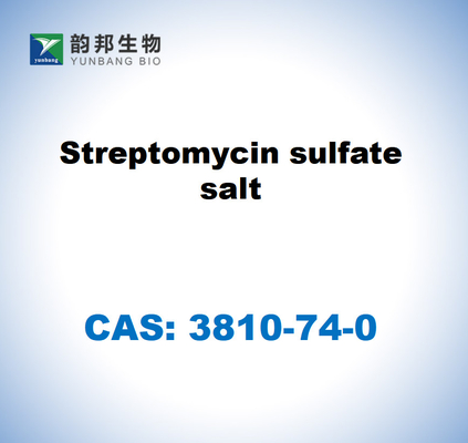 CAS 3810-74-0 Sale di solfato di streptomicina Streptomyces sp.