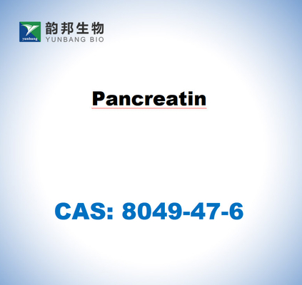 CAS 8049-47-6 Pancreatina proveniente dal pancreas dei suini