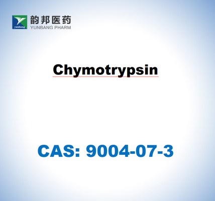 α-Chimotripsina 9004-07-3 dal pancreas bovino USP Grade ((1500 u/Mg)
