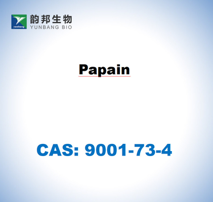 CAS 9001-73-4 Papaina ottenuta dal lattice di papaia