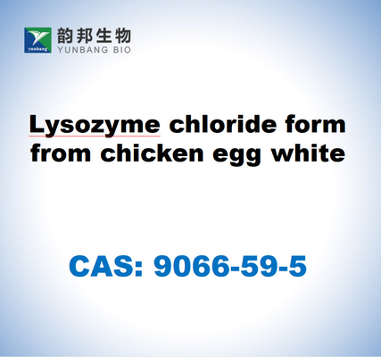 CAS 9066-59-5 Cloruro di lisozima in forma di bianco d'uovo di pollo