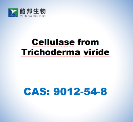 CAS 9012-54-8 Cellulasi di Trichoderma viride