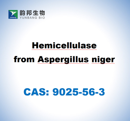 CAS 9025-56-3 Emicellulosa di Aspergillus Niger