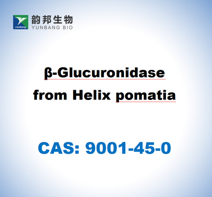 CAS 9001-45-0 B-glucuronidasi di Helix Pomatia