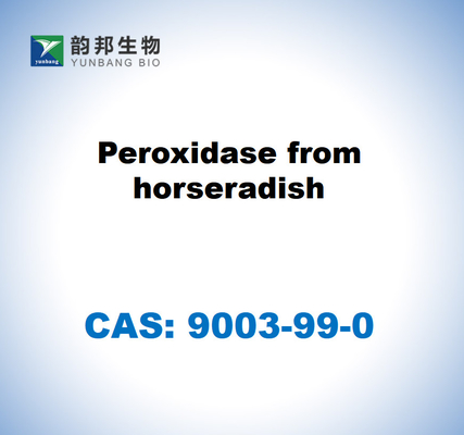 CAS 9003-99-0 Perossidasi del ravanello