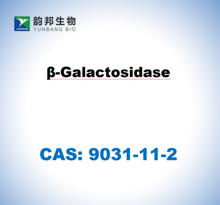 CAS 9031-11-2 β-galattosidasi di Aspergillus niger