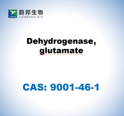 CAS 9001-46-1 Dehidrogenasi, glutammato