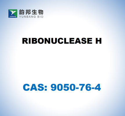 CAS 9001-99-4 RIBONUCLEASE H