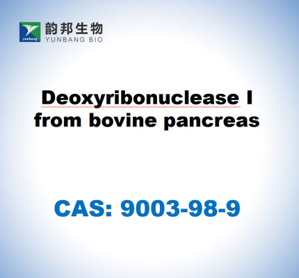CAS 9003-98-9 Deossiribonucleasi I dal pancreas bovino