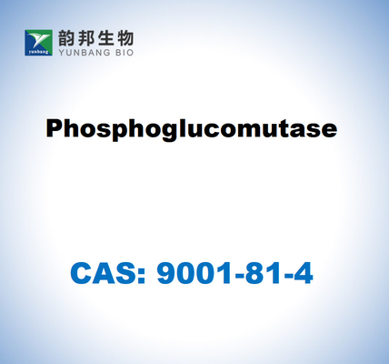 CAS 9001-81-4 Fosfoglucomutasi CE 5.4.2.2