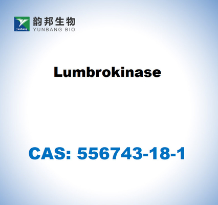 CAS 556743-18-1 Lumbrokinasi