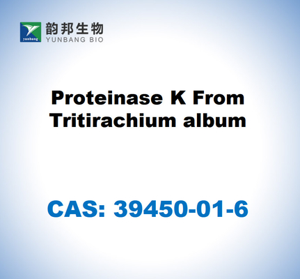 CAS 39450-01-6 Proteasi K dall'album di Tritirachium