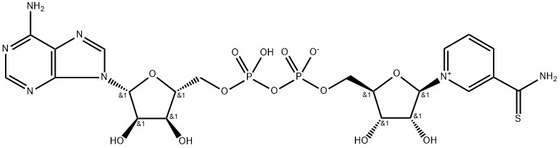 CAS 4090-29-3 Tionicotinamide adenina dinucleotide