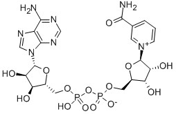 CAS 53-84-9 B-nicotinamide adenina dinucleotide idrato