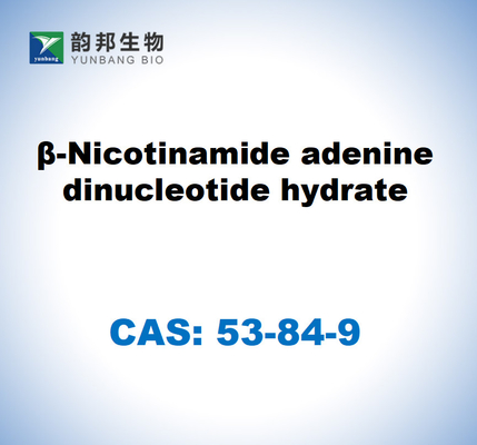 CAS 53-84-9 B-nicotinamide adenina dinucleotide idrato