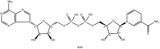 CAS 606-68-8 NADH, disodio, β-nicotinamide adenina dinucleotide, sale disodio ridotto idrato