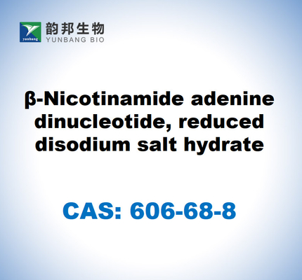 CAS 606-68-8 NADH, disodio, β-nicotinamide adenina dinucleotide, sale disodio ridotto idrato
