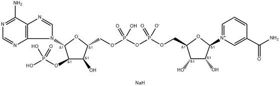 CAS 24292-60-2 NADP, sale disodico