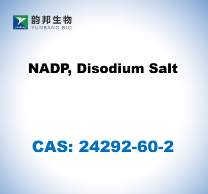 CAS 24292-60-2 NADP, sale disodico