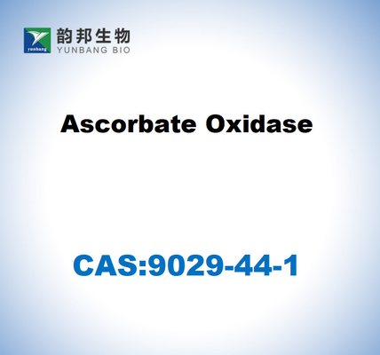 CAS 9029-44-1 Ascorbato ossidasi
