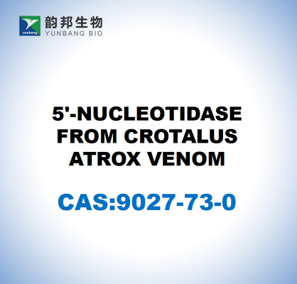 CAS 9027-73-0 5'-nucleotidasi dal veleno di CROTALUS ATROX