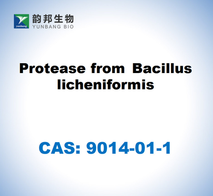 CAS 9014-01-1 Proteasi di Bacillus Licheniformis