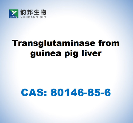 CAS 80146-85-6 Transglutaminasi dal fegato di porcellino d'India