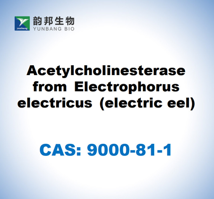 CAS 9000-81-1 Butirilcolinesterasi dal siero equino