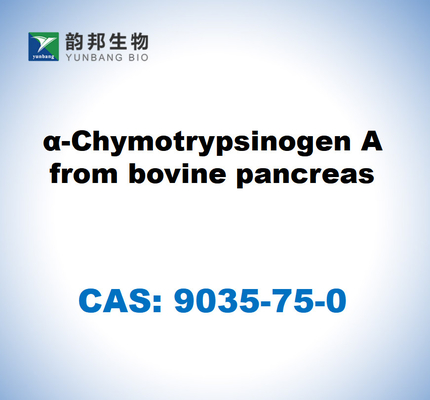 CAS 9035-75-0 α-chimotripsinogeno A dal pancreas bovino