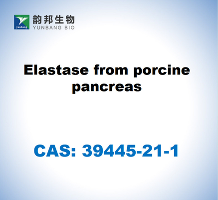 CAS 39445-21-1 Elastasi dal pancreas dei suini