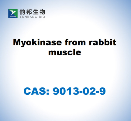 CAS 9013-02-9 Miokinasi del muscolo del coniglio