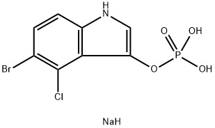 CAS 102185-33-1 5-bromo-4-cloro-3-indolilfosfato sale disodico,X-fosfato sale disodico