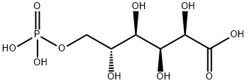CAS 921-62-0 SALE DI BARIO DELL'ACIDO 6-FOSFOGLUCONICO