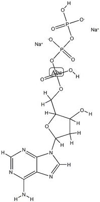 CAS9000-30-0 Reagente biochimico di gomma di guar per laboratori