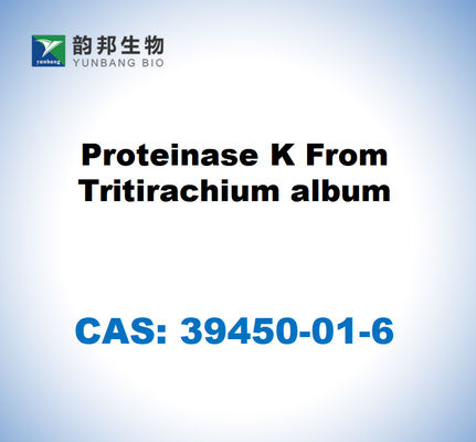 CAS 39450-01-6 Proteasi K dall'album di Tritirachium